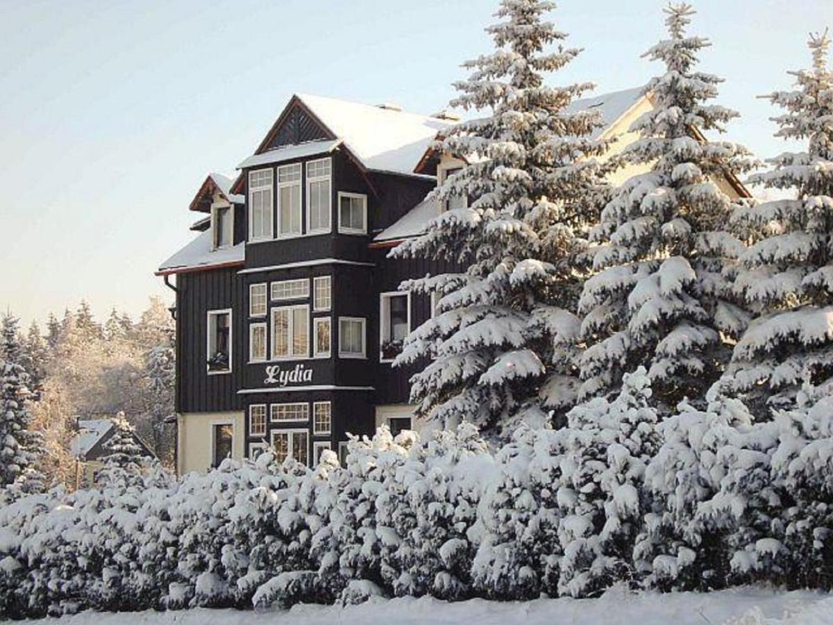 Villa Lydia Altenberg Exterior foto