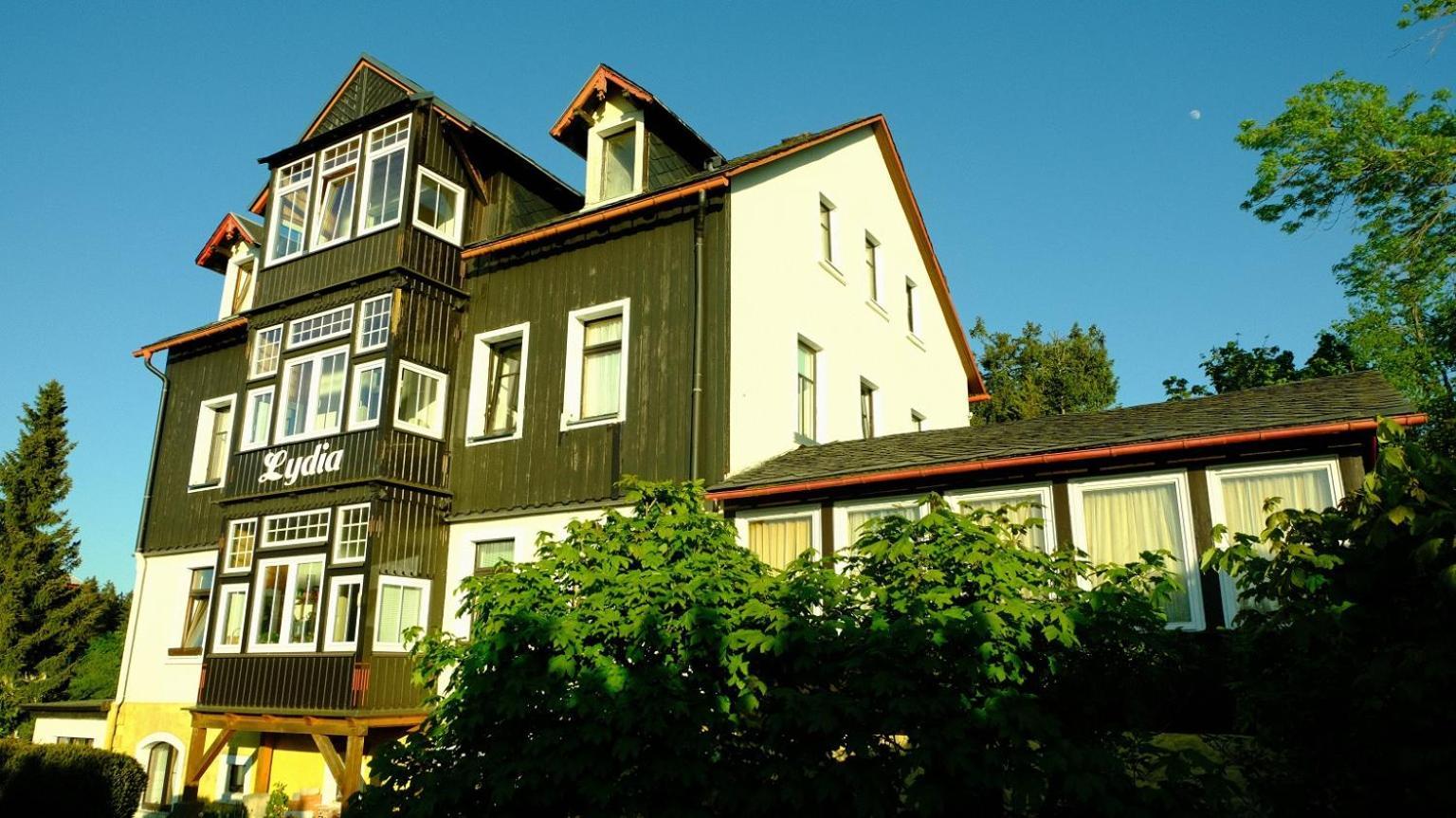 Villa Lydia Altenberg Exterior foto